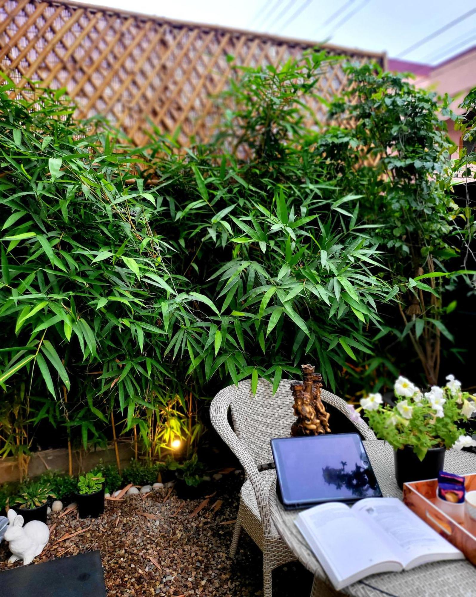 Victorian Elegance Luxury Stays Amritsar Exterior photo